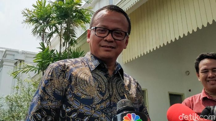 Heboh Ekspor Benih Lobster, Muncul #TenggelamkanEdhyPrabowo