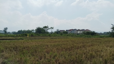 Di Jual Kavling di Tasikmadu Malang